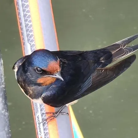 Lägenhet Nordstrand Whg 2 Baltrum
