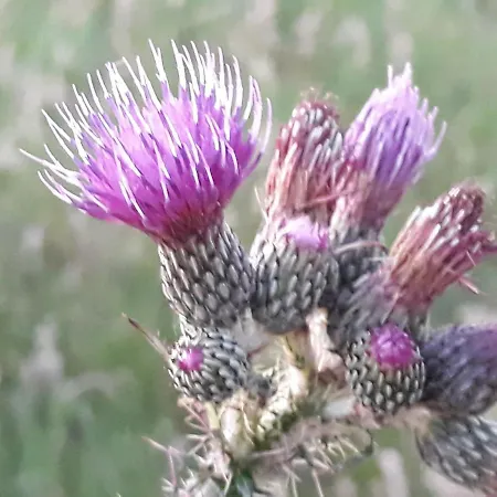 Lägenhet Nordstrand Whg 2