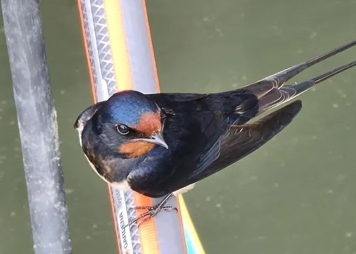 Apartamento Nordstrand Whg 2 Baltrum