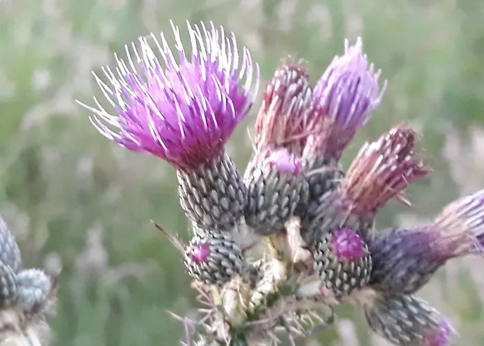 Apartamento Nordstrand Whg 2